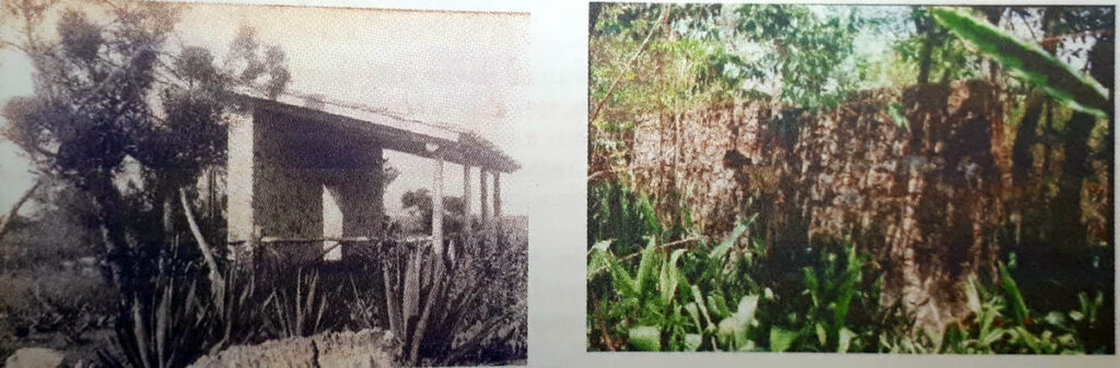 Figura 3. Cobertizo en Arizona. Foto a la izquierda E.J. Stillman, 1941. Archivo JBC. Foto derecha, cobertizo 60 años después, cortesía de H. Rodríguez, 2001.