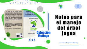 Notas para el manejo del árbol jagua